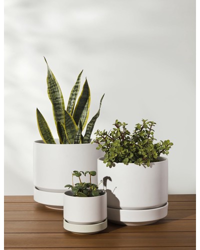 Ceramic Indoor / Outdoor Planter by LBE Design - White / 10" Diameter